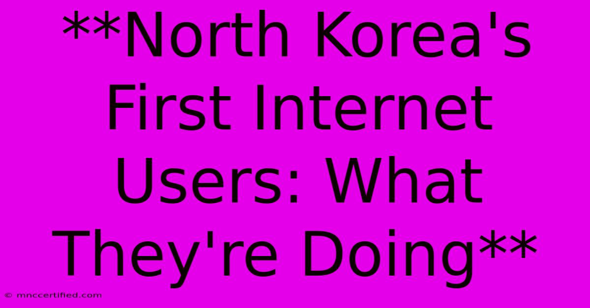 **North Korea's First Internet Users: What They're Doing**