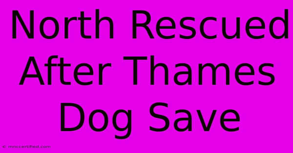 North Rescued After Thames Dog Save