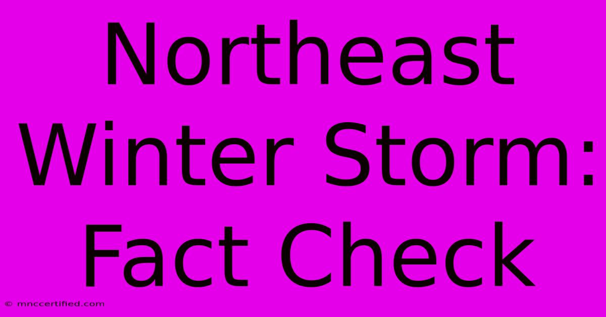 Northeast Winter Storm: Fact Check