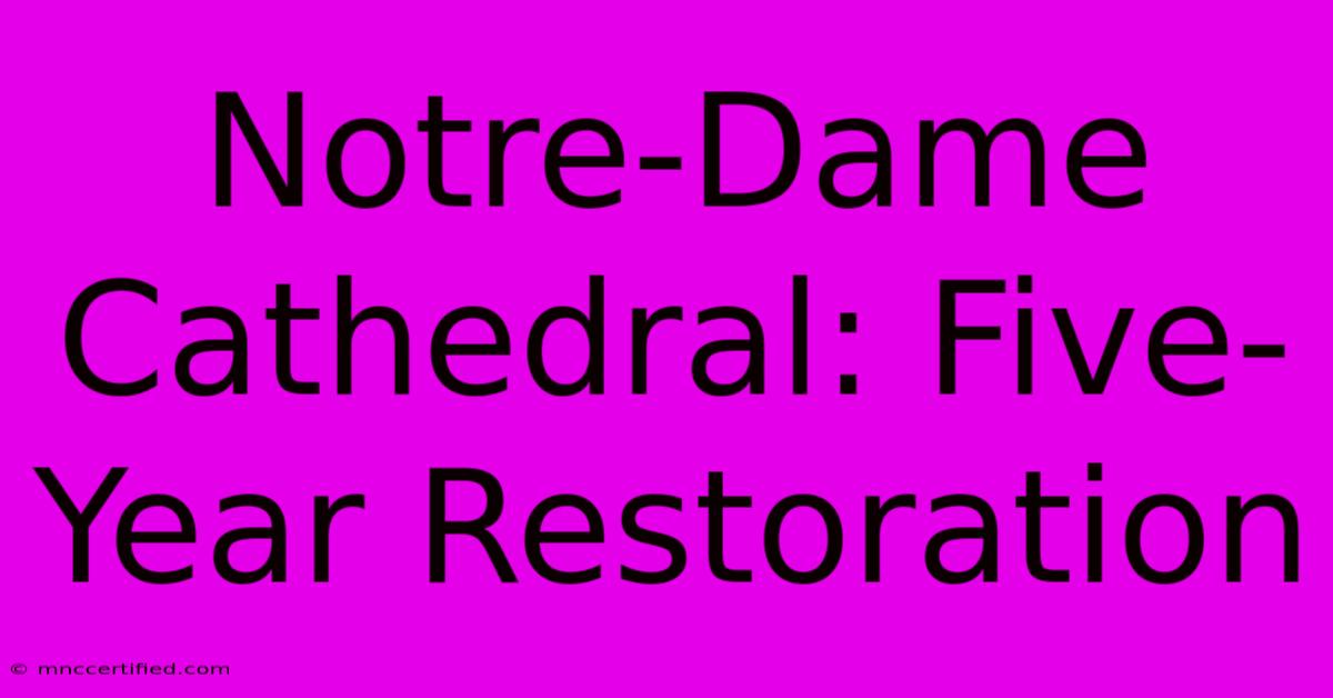 Notre-Dame Cathedral: Five-Year Restoration