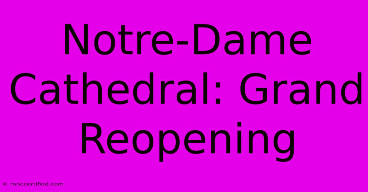 Notre-Dame Cathedral: Grand Reopening