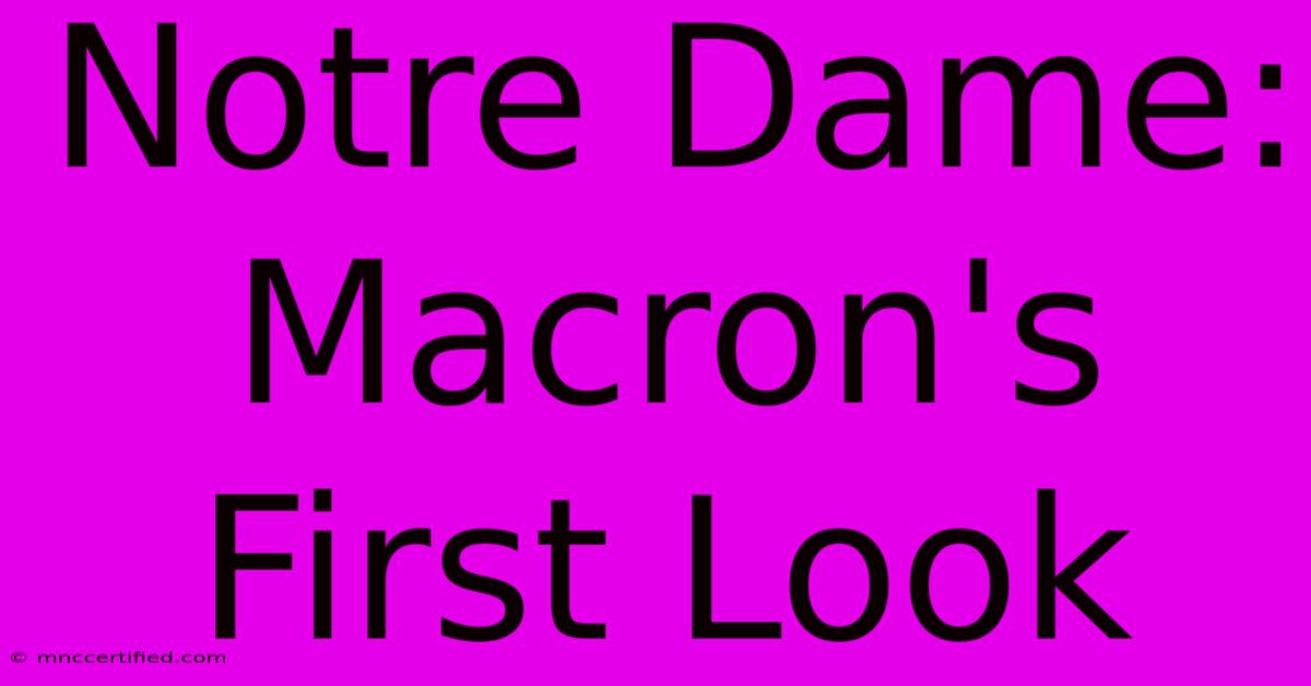 Notre Dame: Macron's First Look