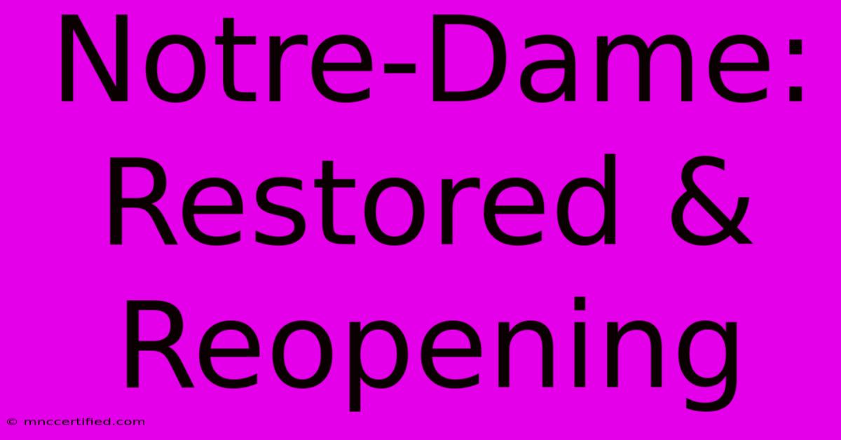 Notre-Dame: Restored & Reopening