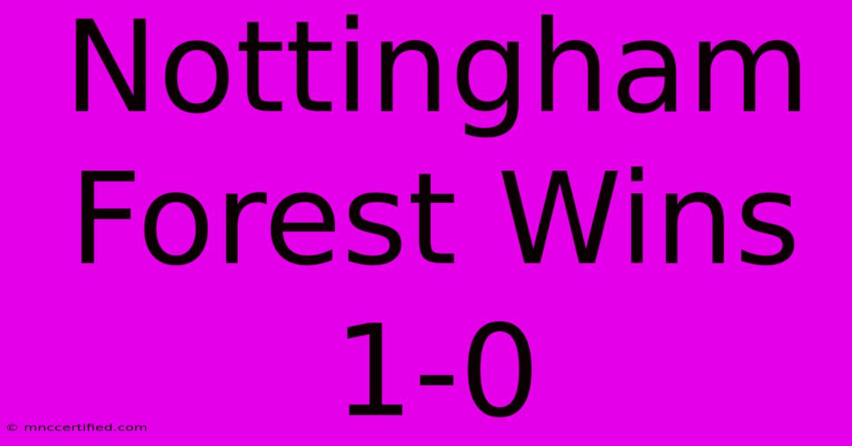 Nottingham Forest Wins 1-0