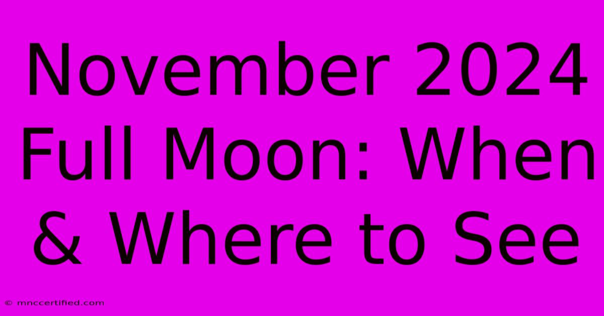 November 2024 Full Moon: When & Where To See