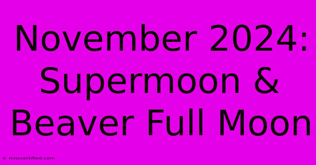 November 2024: Supermoon & Beaver Full Moon