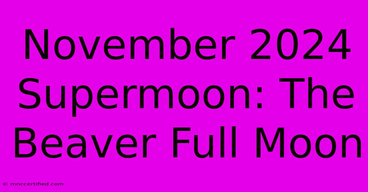 November 2024 Supermoon: The Beaver Full Moon 