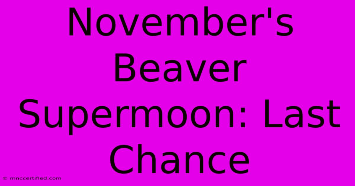 November's Beaver Supermoon: Last Chance