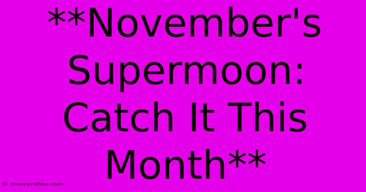 **November's Supermoon:  Catch It This Month** 