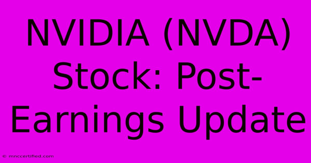 NVIDIA (NVDA) Stock: Post-Earnings Update