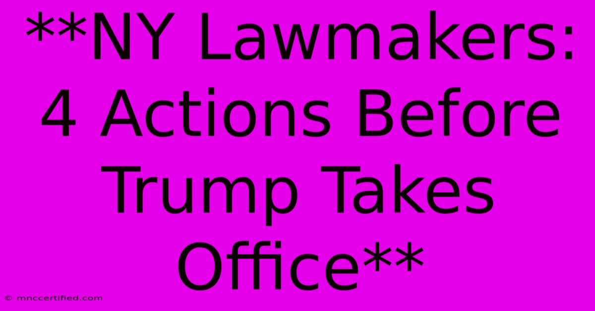 **NY Lawmakers: 4 Actions Before Trump Takes Office**