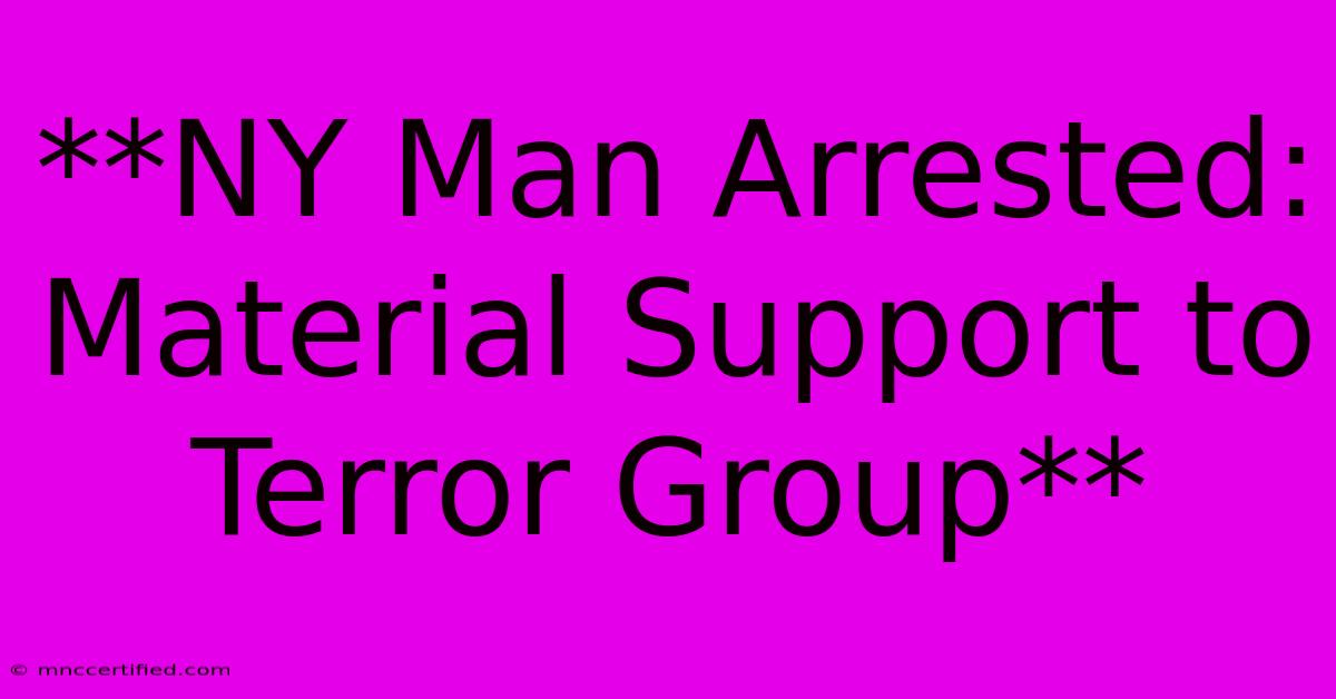 **NY Man Arrested: Material Support To Terror Group**