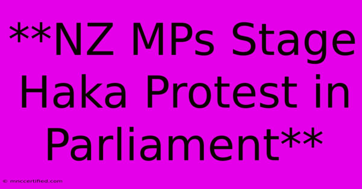 **NZ MPs Stage Haka Protest In Parliament**