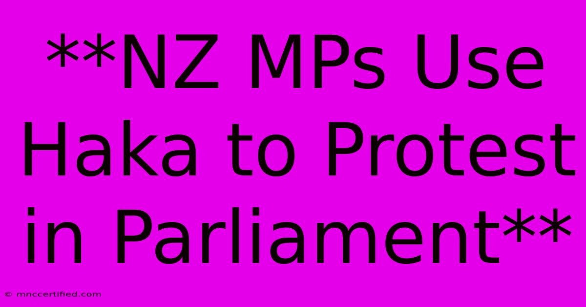 **NZ MPs Use Haka To Protest In Parliament**