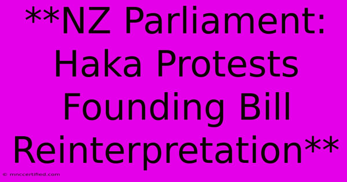 **NZ Parliament: Haka Protests Founding Bill Reinterpretation**