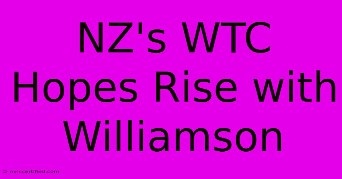 NZ's WTC Hopes Rise With Williamson