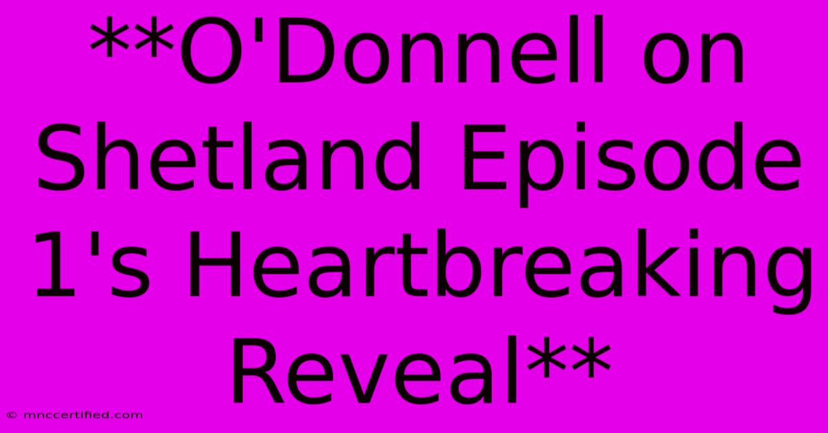 **O'Donnell On Shetland Episode 1's Heartbreaking Reveal**