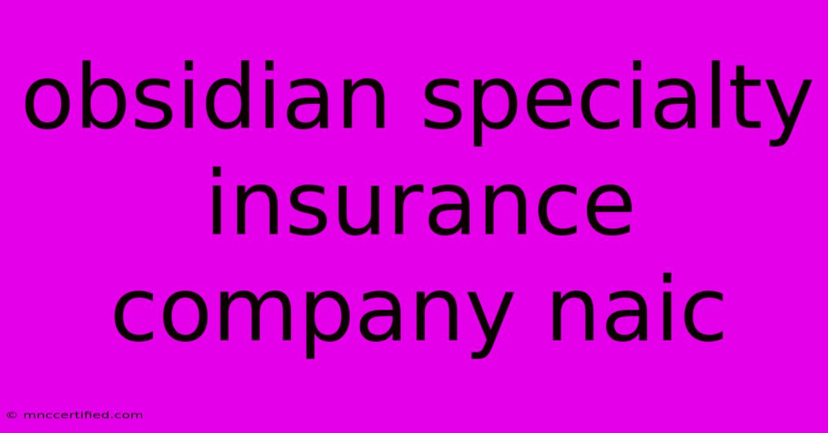 Obsidian Specialty Insurance Company Naic