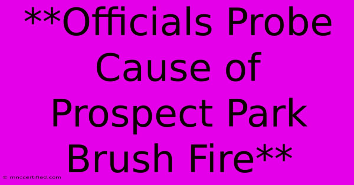 **Officials Probe Cause Of Prospect Park Brush Fire**