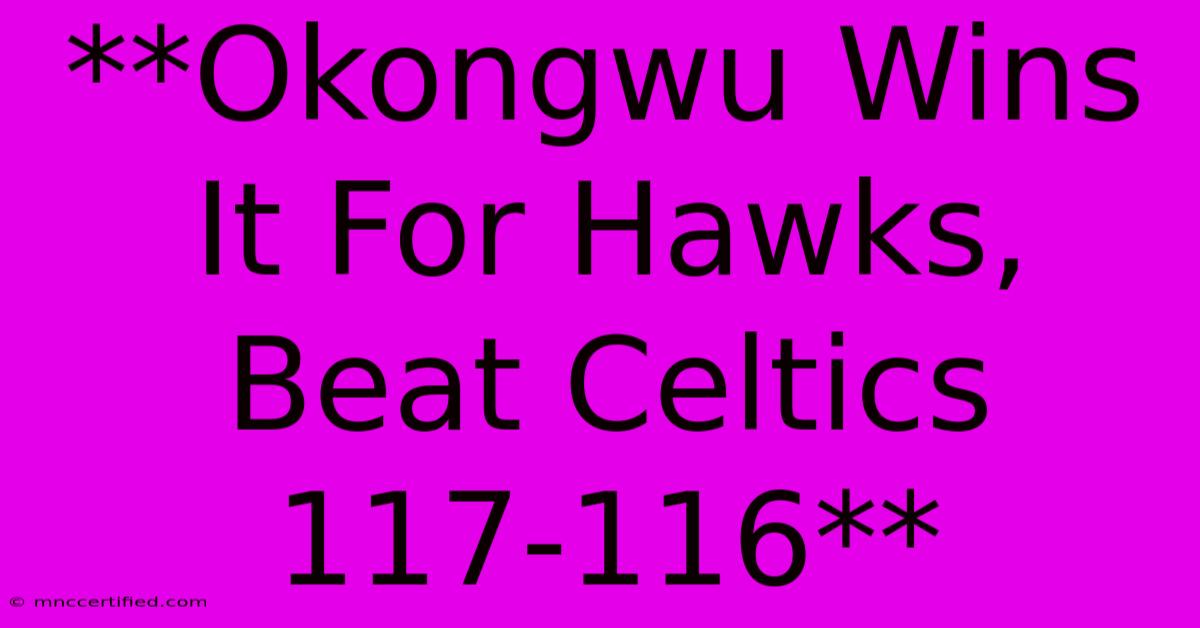 **Okongwu Wins It For Hawks, Beat Celtics 117-116**