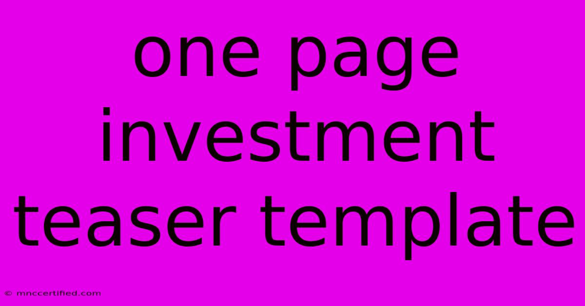 One Page Investment Teaser Template