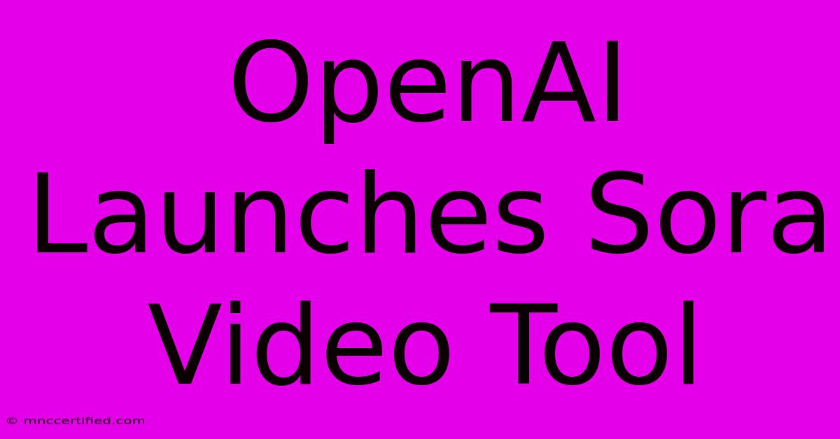 OpenAI Launches Sora Video Tool