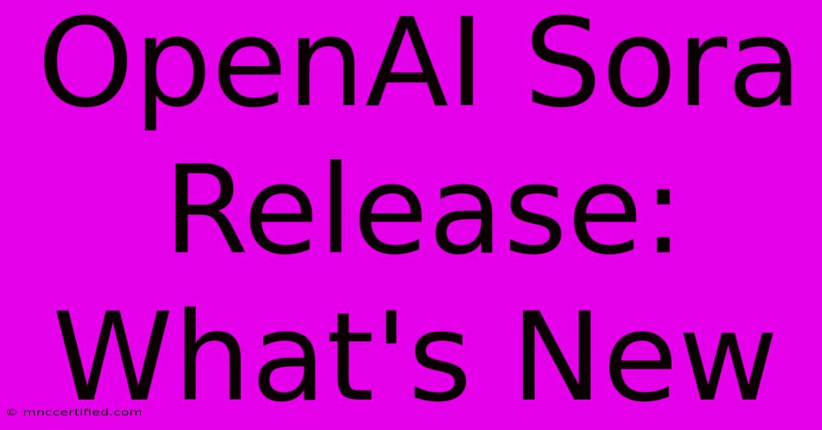 OpenAI Sora Release: What's New