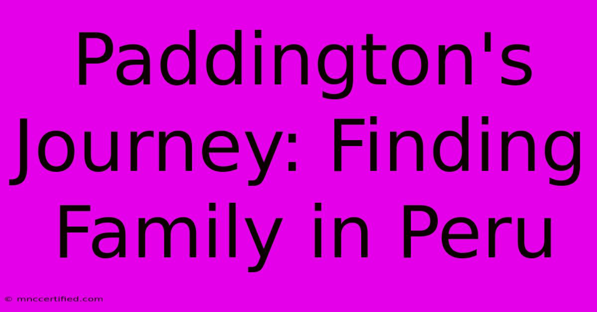 Paddington's Journey: Finding Family In Peru