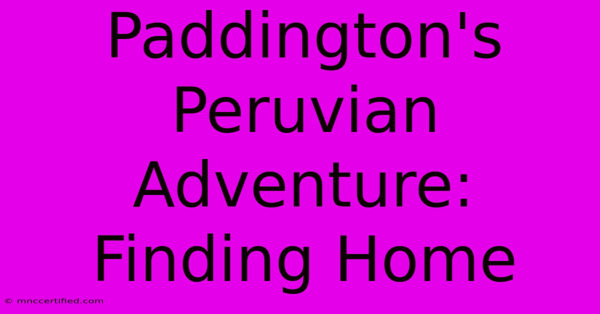 Paddington's Peruvian Adventure: Finding Home 