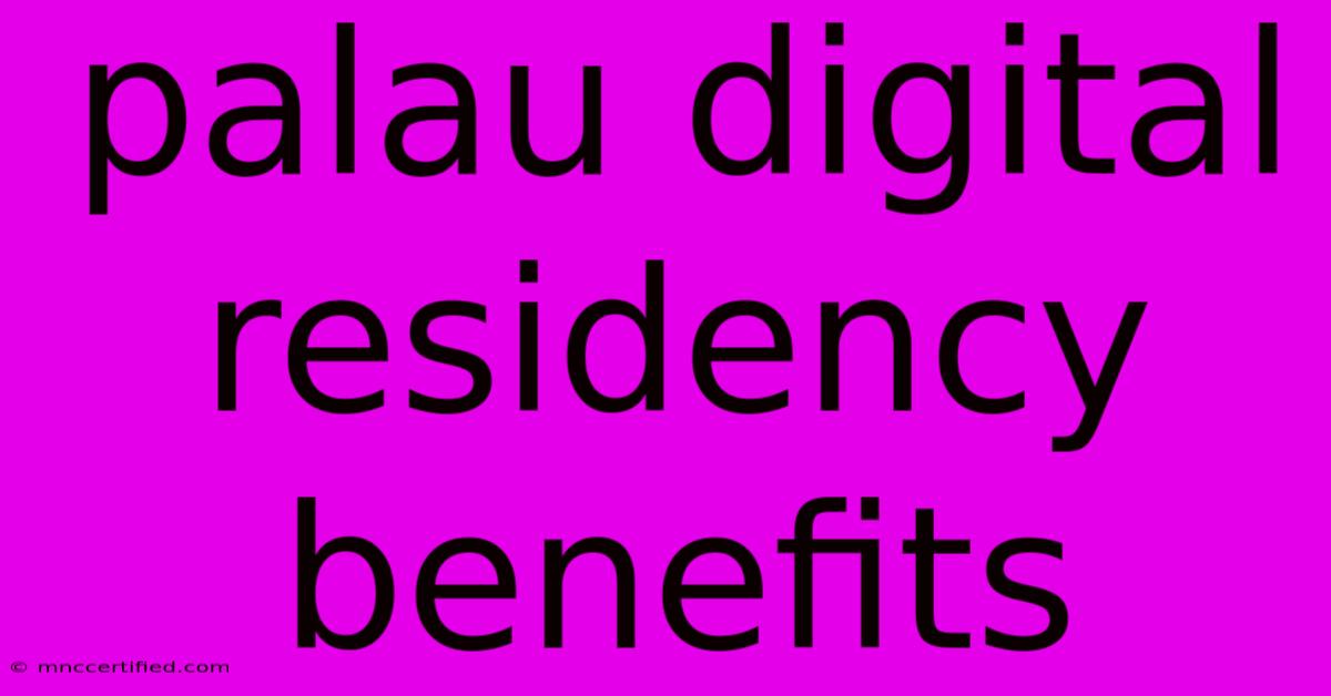 Palau Digital Residency Benefits