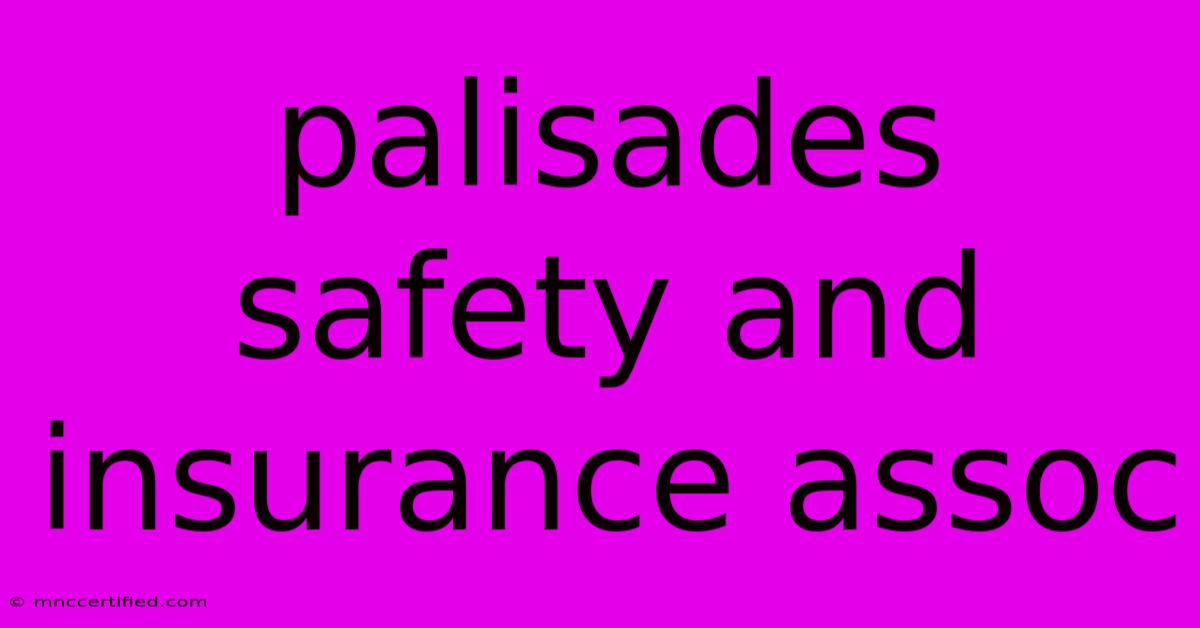 Palisades Safety And Insurance Assoc