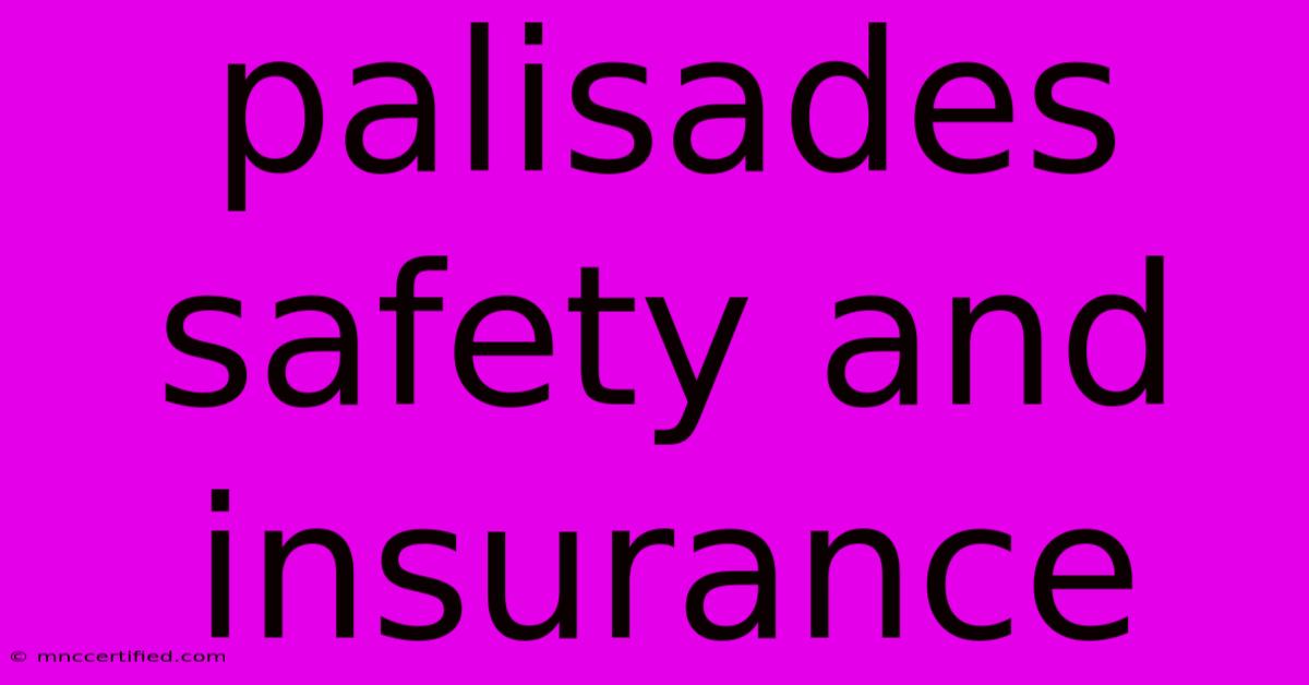 Palisades Safety And Insurance