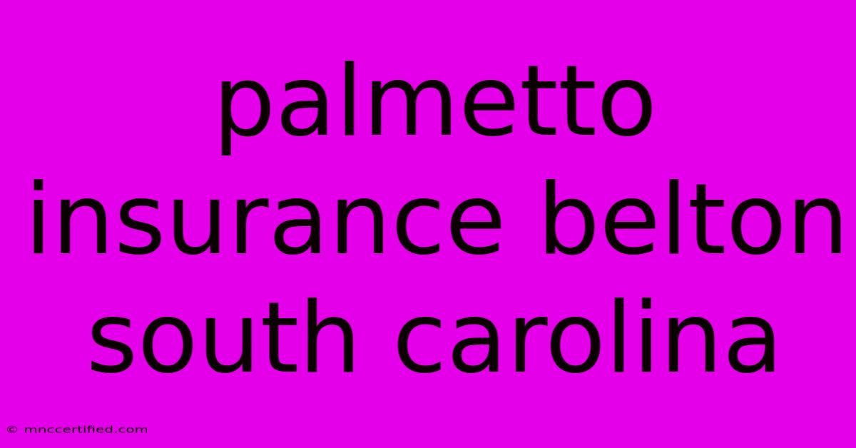 Palmetto Insurance Belton South Carolina