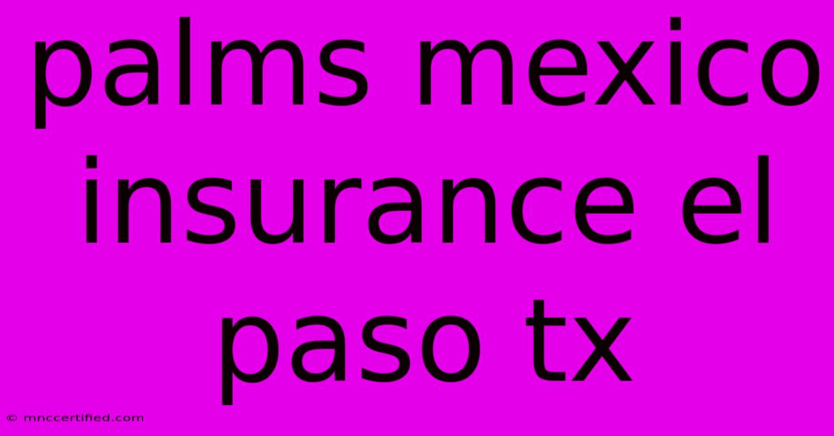 Palms Mexico Insurance El Paso Tx