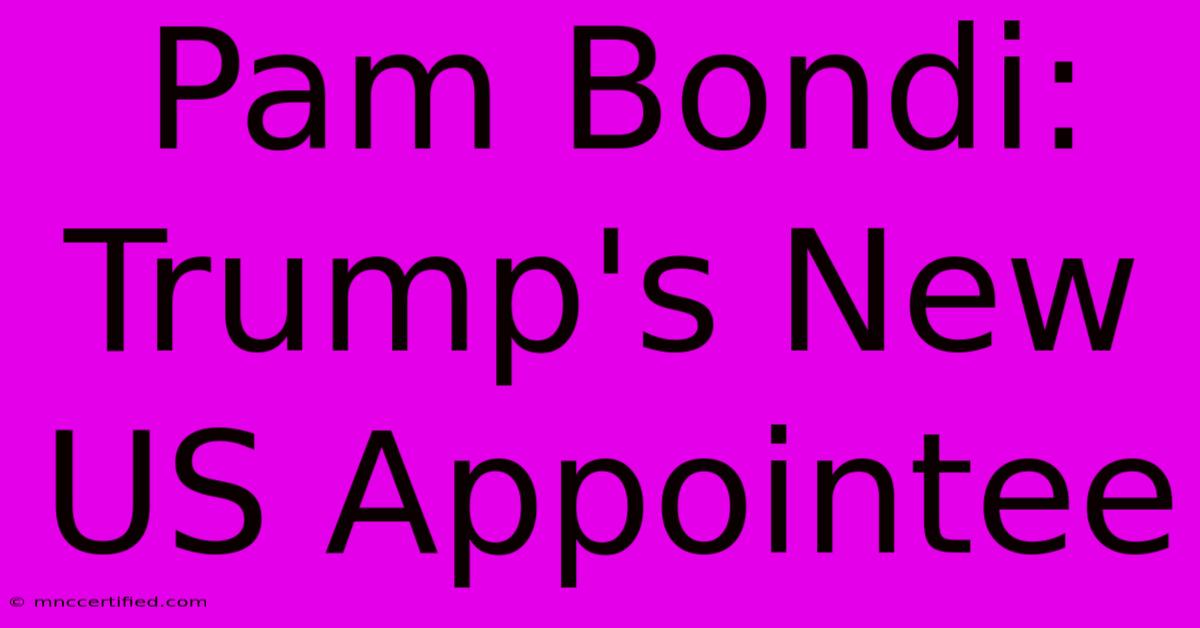 Pam Bondi: Trump's New US Appointee