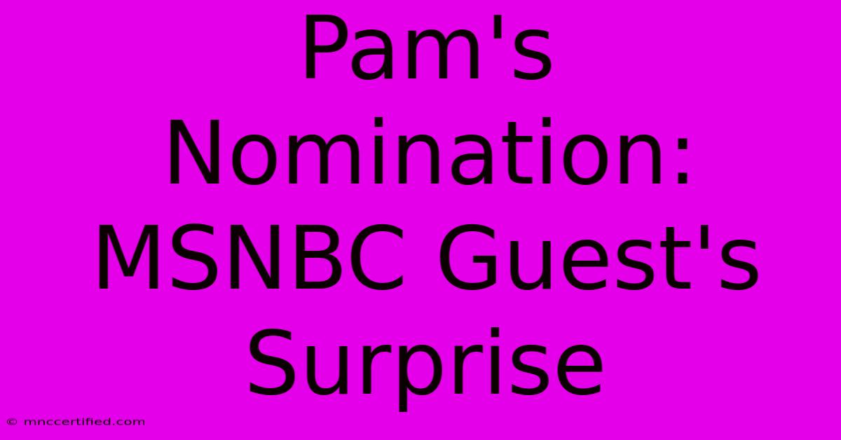 Pam's Nomination: MSNBC Guest's Surprise