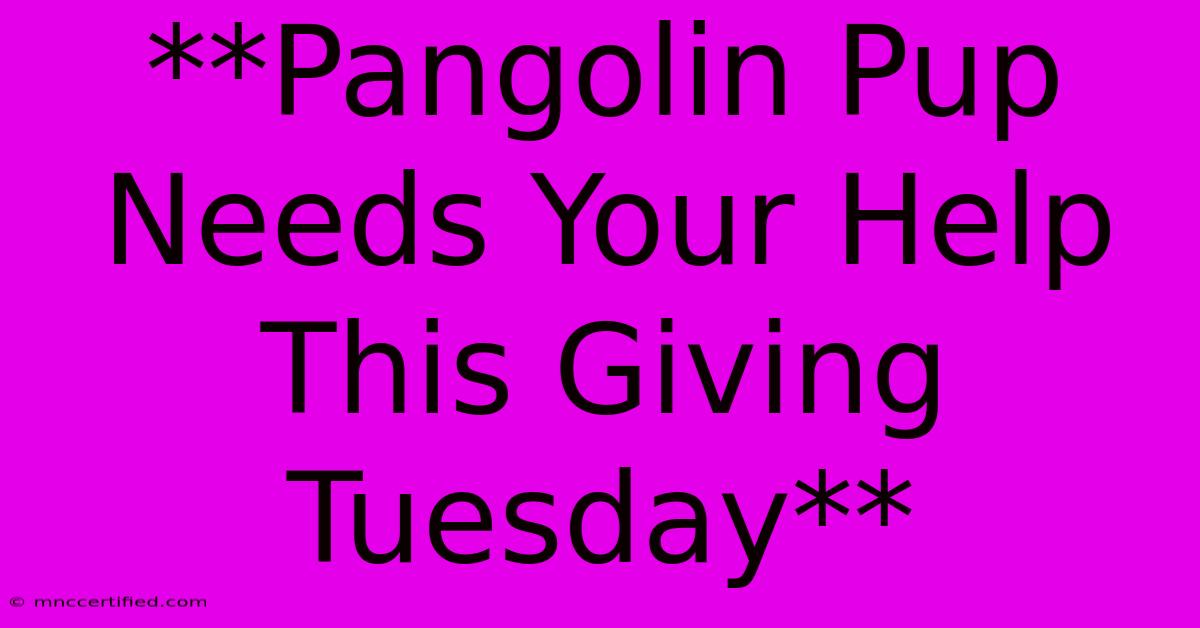 **Pangolin Pup Needs Your Help This Giving Tuesday** 