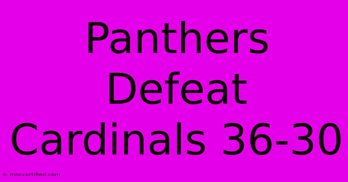 Panthers Defeat Cardinals 36-30