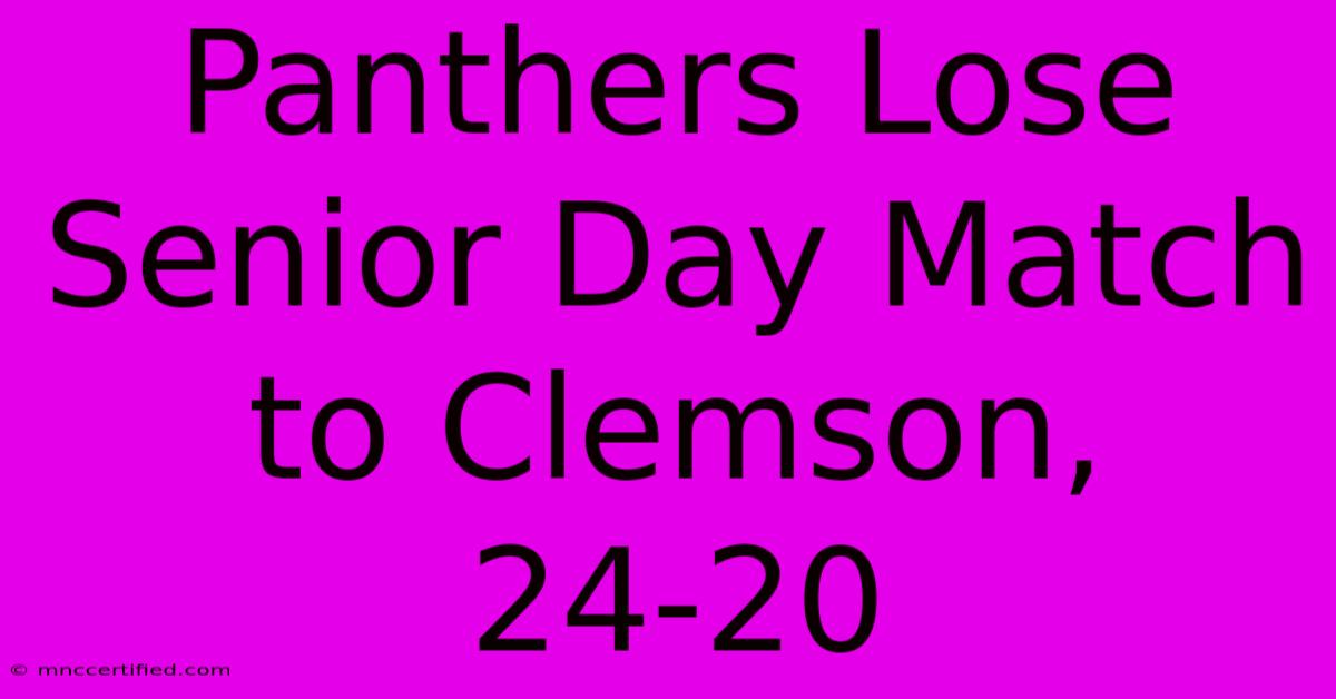 Panthers Lose Senior Day Match To Clemson, 24-20