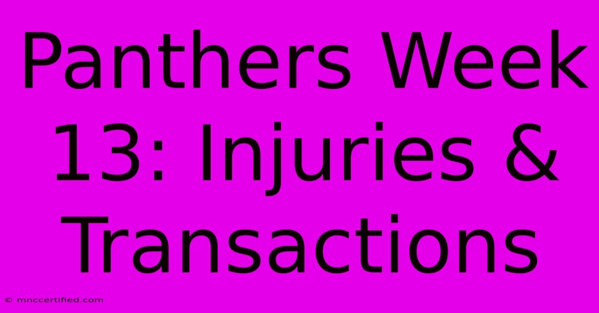 Panthers Week 13: Injuries & Transactions