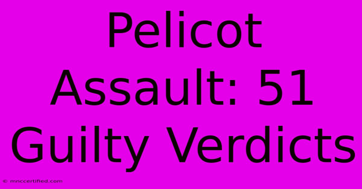 Pelicot Assault: 51 Guilty Verdicts