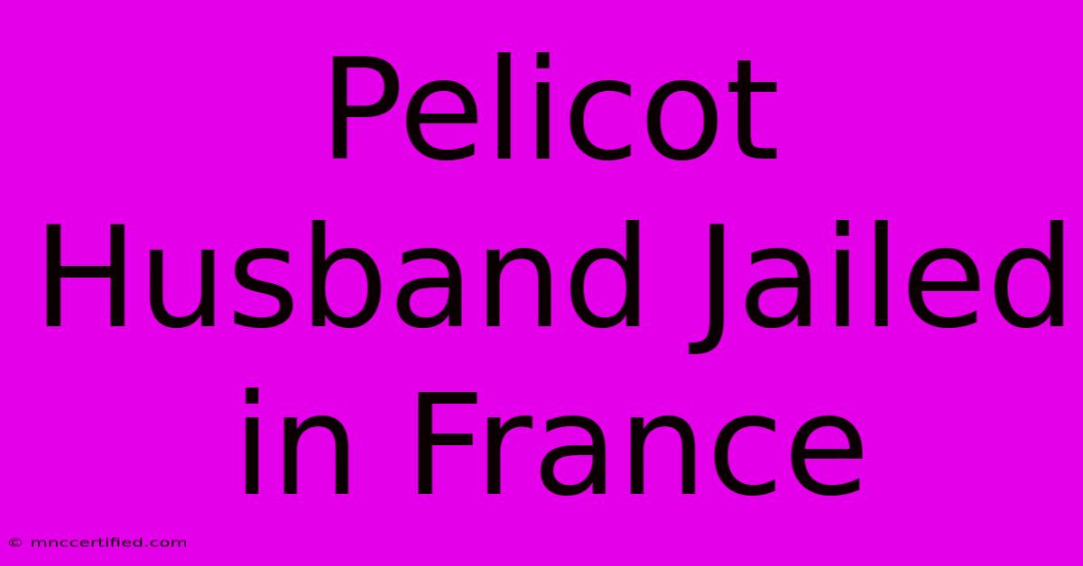 Pelicot Husband Jailed In France