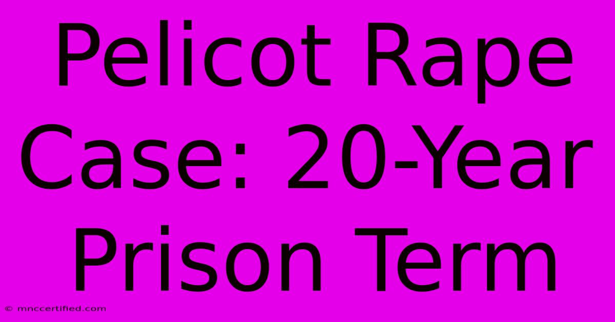 Pelicot Rape Case: 20-Year Prison Term