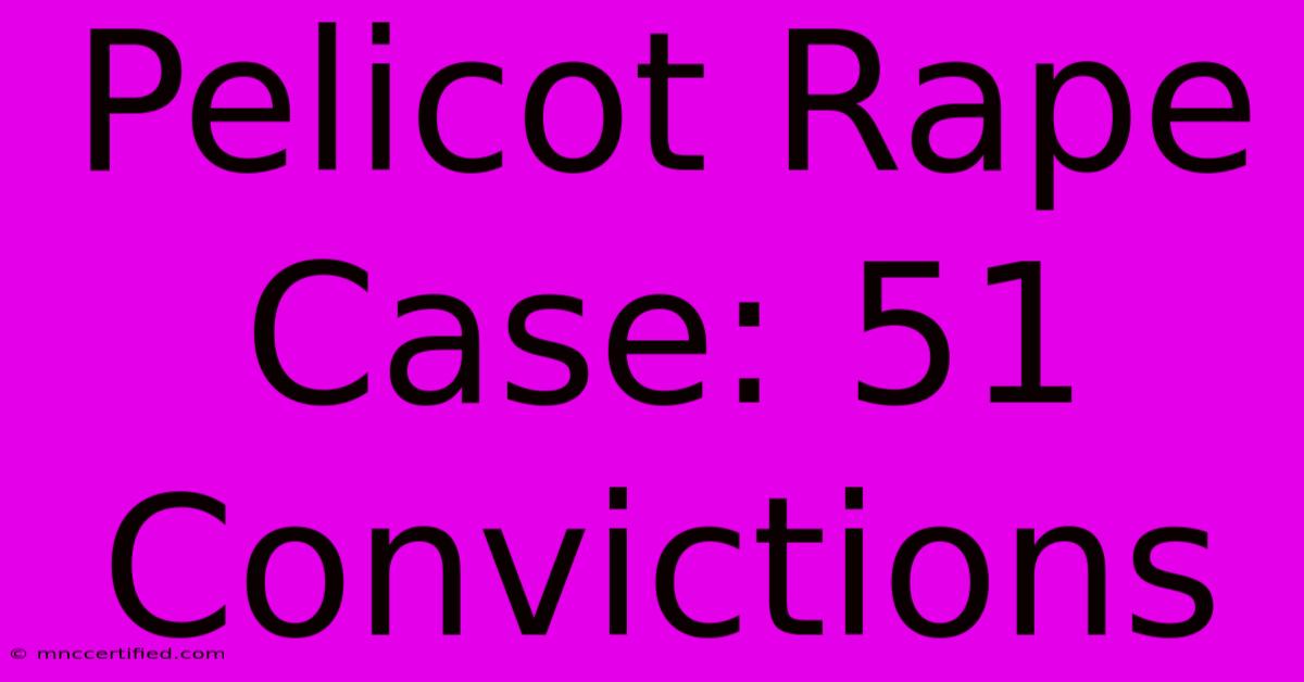 Pelicot Rape Case: 51 Convictions