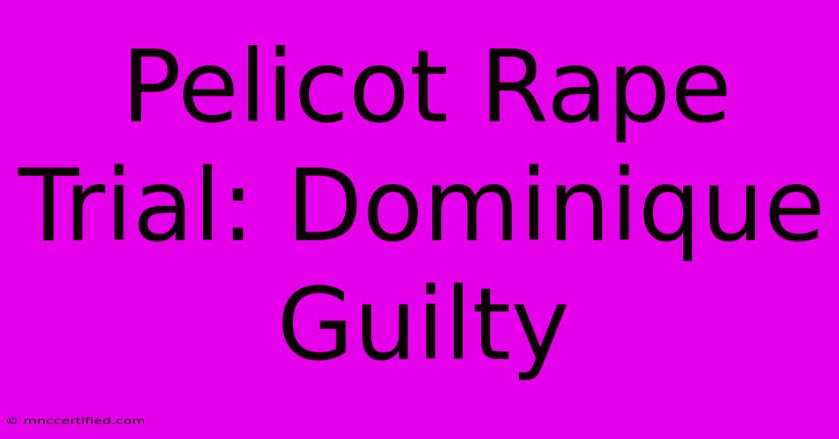 Pelicot Rape Trial: Dominique Guilty