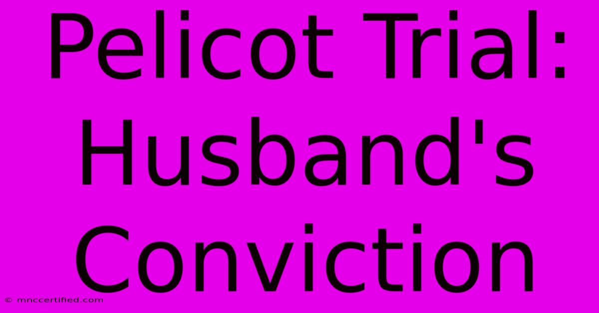 Pelicot Trial: Husband's Conviction