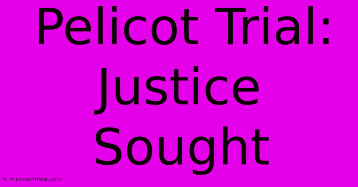 Pelicot Trial: Justice Sought