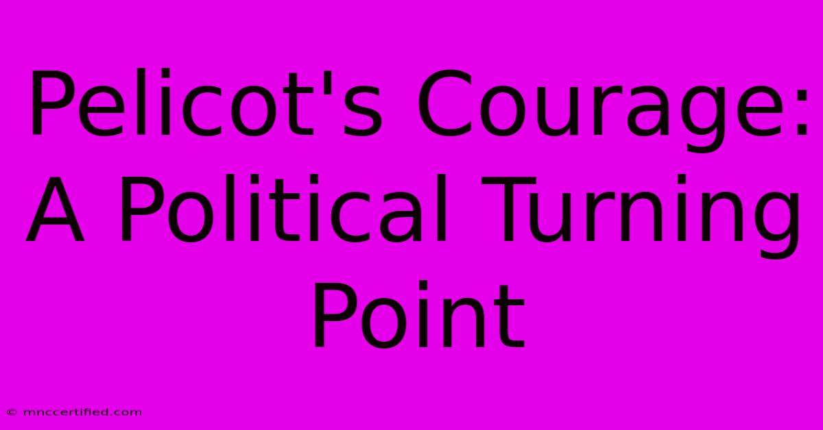 Pelicot's Courage: A Political Turning Point