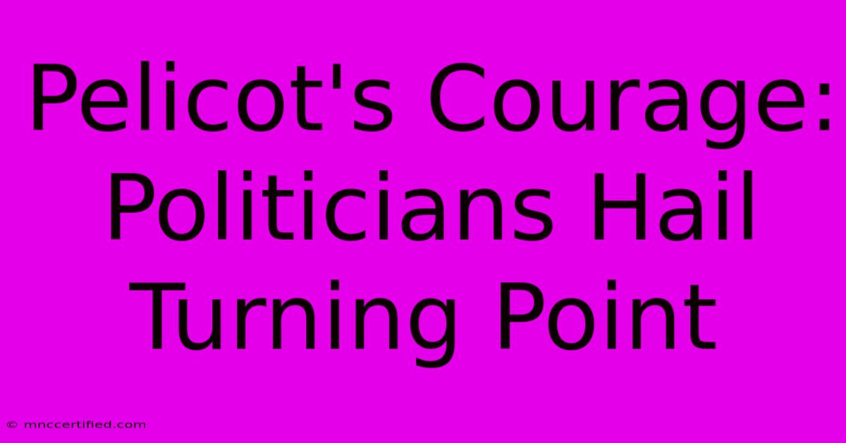 Pelicot's Courage: Politicians Hail Turning Point