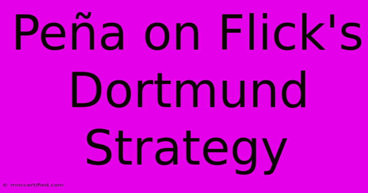 Peña On Flick's Dortmund Strategy